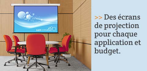 Des écrans de projection pour chaque application et budget.